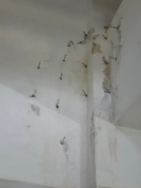 Grouting and defect rectification works to common-property ceiling